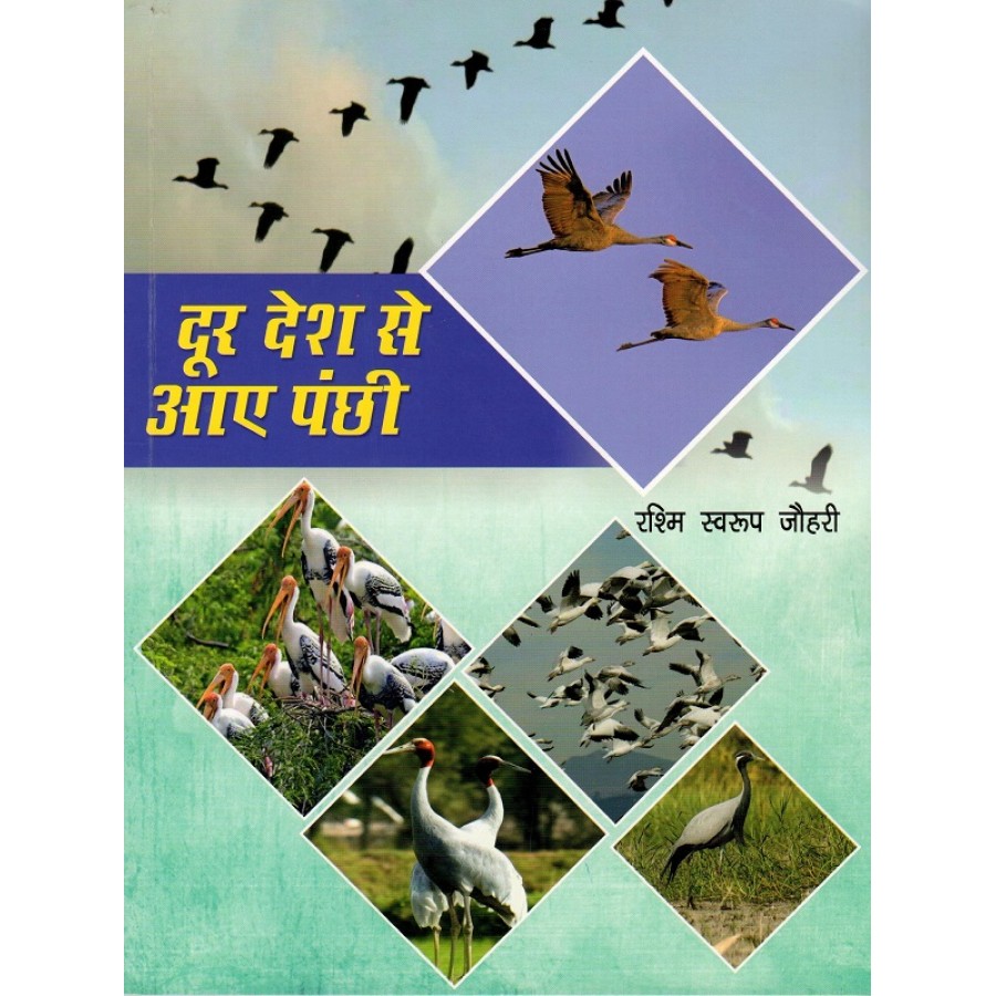DOOR DESH SE AAYE PANCHI (POP) (HINDI) (2022)