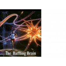 EBOOK -The Baffling Brain (ENGLISH)