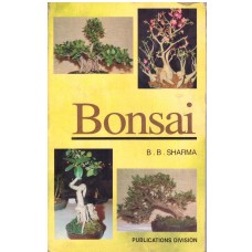 BONSAI (POP) (2001)