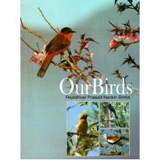 OUR BIRDS (POP) (2012)