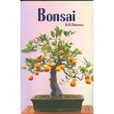 BONSAI (POP) (2013)