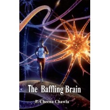 THE BAFFLING BRAIN (POP) (2014)