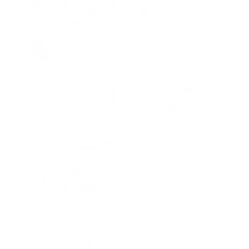 INDIA - ART AND ARCHITECTURE  IN ANCIENT AND MEDIEVAL PERIODS (POP) (2017)